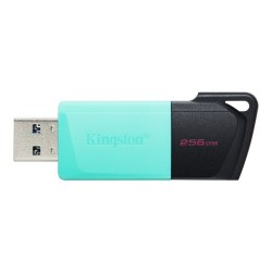 Kingston DataTraveler...