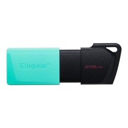 Kingston DataTraveler Exodia M - Unidad flash USB - 256 GB