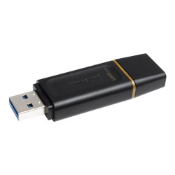Kingston DataTraveler...